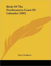 Birds Of The Northeastern Coast Of Labrador (1902)