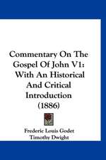 Commentary On The Gospel Of John V1