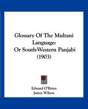 Glossary Of The Multani Language