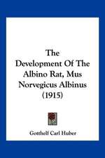 The Development Of The Albino Rat, Mus Norvegicus Albinus (1915)