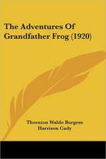 The Adventures Of Grandfather Frog (1920)