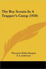 The Boy Scouts In A Trapper's Camp (1920)