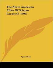 The North American Allies Of Scirpus Lacustris (1904)