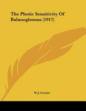 The Photic Sensitivity Of Balanoglossus (1917)