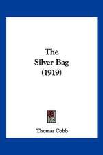 The Silver Bag (1919)