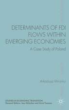 Determinants of FDI Flows within Emerging Economies