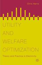 Utility and Welfare Optimization: Theory and Practice in Electricity