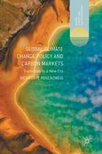 Global Climate Change Policy and Carbon Markets: Transition to a New Era