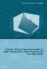 Tubular String Characterization in High Temperature High Pressure Oil and Gas Wells