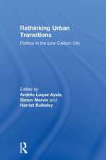 Rethinking Urban Transitions: Politics in the Low Carbon City