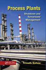 Process Plants: Shutdown and Turnaround Management