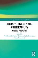 Energy Poverty and Vulnerability: A Global Perspective