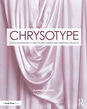 Chrysotype: A Contemporary Guide to Photographic Printing in Gold