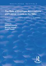 The Role of Employer Associations and Labour Unions in the EMU: Institutional Requirements for European Economic Policies