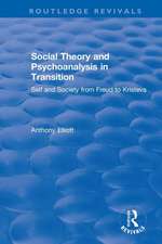 Social Theory and Psychoanalysis in Transition: Self and Society from Freud to Kristeva