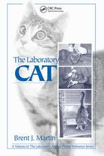 The Laboratory Cat