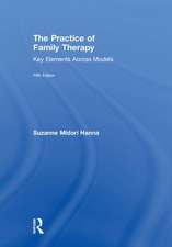 The Practice of Family Therapy: Key Elements Across Models