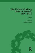 The Urban Working Class in Britain, 1830–1914 Vol 3