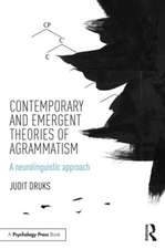 Contemporary and Emergent Theories of Agrammatism: A neurolinguistic approach