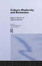 Culture, Modernity and Revolution: Essays in Honour of Zygmunt Bauman