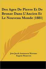 Des Ages De Pierre Et De Bronze Dans L'Ancien Et Le Nouveau Monde (1881)