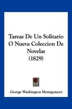 Tareas De Un Solitario O Nueva Coleccion De Novelas (1829)