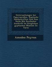 Untersuchungen �ber Papyrusrollen, Koptische Handschriften Und Eine Stelle Mit Dreifacher Inschrift Im K�niglichen �gyptischen Mu