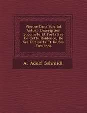 Vienne Dans Son Tat Actuel: Description Succincte Et Portative de Cette R Sidence, de Ses Curiosit S Et de Ses Environs