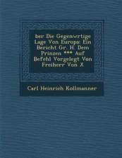 �ber Die Gegenw�rtige Lage Von Europa: Ein Bericht Gr. H. Dem Prinzen *** Auf Befehl Vorgelegt Von Freiherr Von X