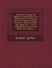 Premiers Voyages En Zigzag Ou Excursions D'un Pensionnat En Vacances Dans Les Cantons Suisses Et Sur Le Revers Italien Des Alpes: Ill. ... De 54 Grand