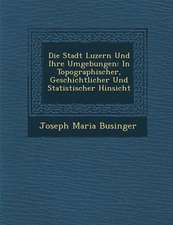 Die Stadt Luzern Und Ihre Umgebungen: In Topographischer, Geschichtlicher Und Statistischer Hinsicht