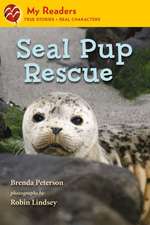 Seal Pup Rescue