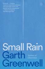 Small Rain