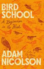 Bird School