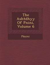 The Asht Dhy y of P Nini, Volume 6