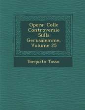 Opera: Colle Controversie Sulla Gerusalemme, Volume 25