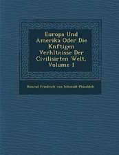 Europa Und Amerika Oder Die K Nftigen Verh Ltnisse Der Civilisirten Welt, Volume 1