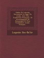 Fables de Lokman Surnomme Le Sage: En Arabe, Avec Une Traduction Francaise, Et Accompagnees de Remarques Et D'Un Vocabulaire Arabe-Francais...