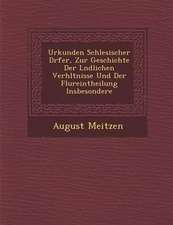 Urkunden Schlesischer D Rfer, Zur Geschichte Der L Ndlichen Verh Ltnisse Und Der Flureintheilung Insbesondere