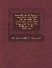 Vern Nfftige Gedancken Von Gott, Der Welt Und Der Seele Des Menschen, Auch Allen Dingen Berhaupt, Den Liebhabern Der Wahrheit