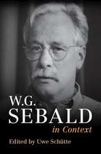 W. G. Sebald in Context