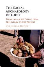 The Social Archaeology of Food