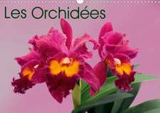 Les Orchidées (Calendrier mural 2020 DIN A3 horizontal)