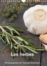 Les herbes (Calendrier mural 2020 DIN A4 vertical)