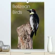 Belizean Birds(Premium, hochwertiger DIN A2 Wandkalender 2020, Kunstdruck in Hochglanz)