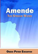 Amende - The Stream Water