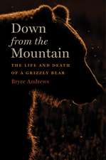 Down From The Mountain: The Life and Death of a Grizzly Bear