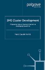 SME Cluster Development: A Dynamic View of Survival Clusters in Developing Countries