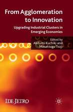 From Agglomeration to Innovation: Upgrading Industrial Clusters in Emerging Economies