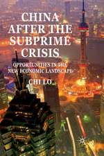 China After the Subprime Crisis: Opportunities in The New Economic Landscape